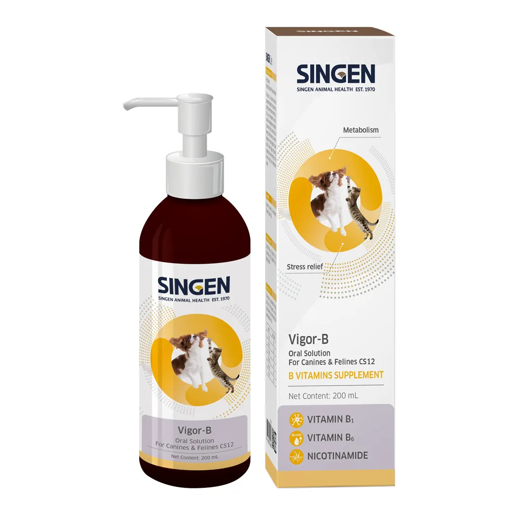 【SINGEN 信元發育寶】犬貓用心血管造血B群口服液200ml/罐(犬貓保健食品)