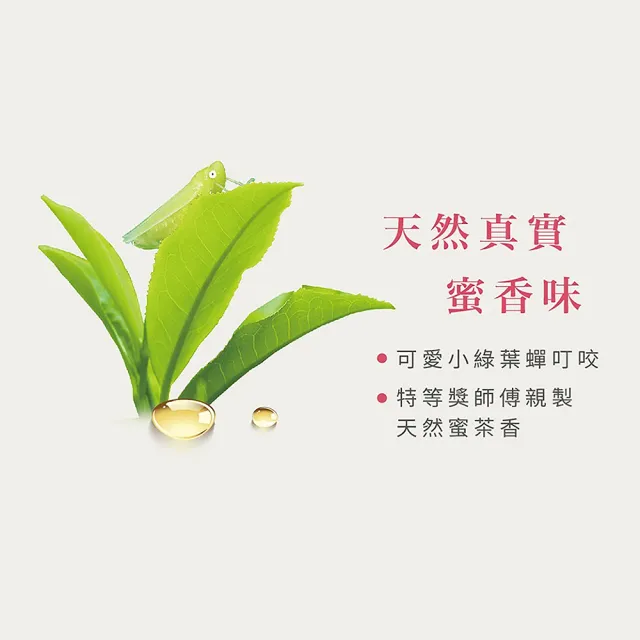 【Teascovery 發現茶】冷泡蜜香紅茶茶包 (20入/盒；蜜香甜韻；尋尋覓蜜紅)
