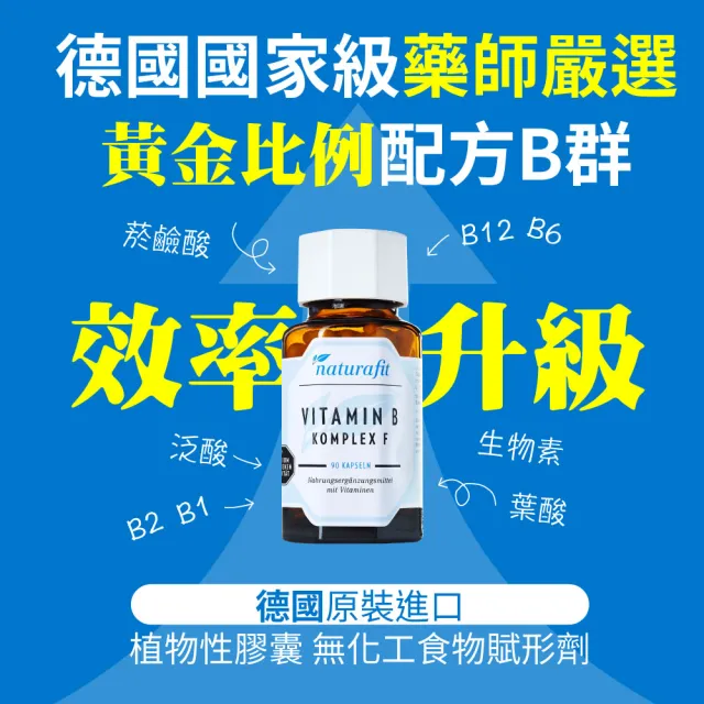 【德國 Natural Fit 活粒適】維生素B群 三入組 90粒/入(素食維他命B群 B1 B6 B12 葉酸 泛酸 菸鹼酸 生物素)