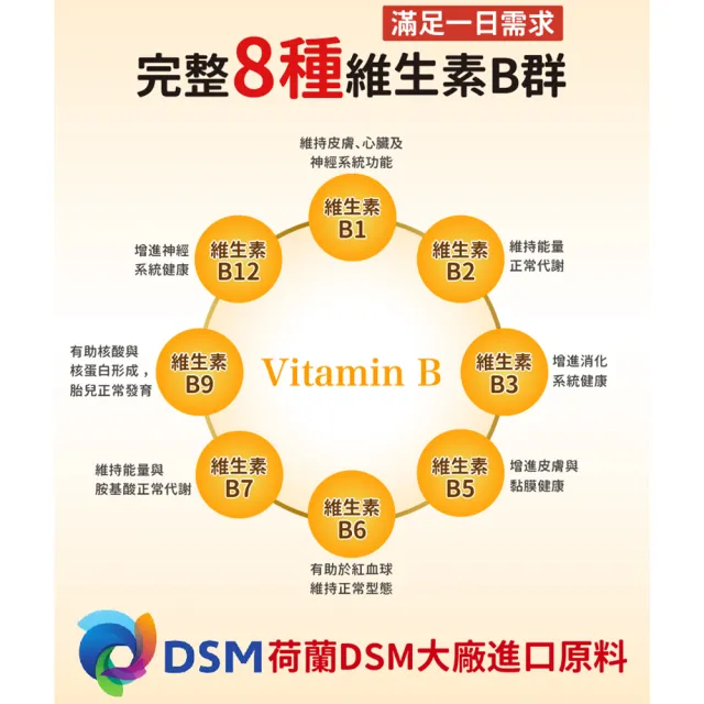 【悠活原力】原力緩釋維生素B群 緩釋膜衣錠X6盒(60粒/瓶 共360粒 吳淡如真情推薦)