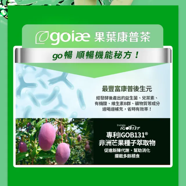 【goiae 果葉】康普茶沖泡粉包x5盒(21包/盒;鳳梨風味;Mei邱馨葦代言)