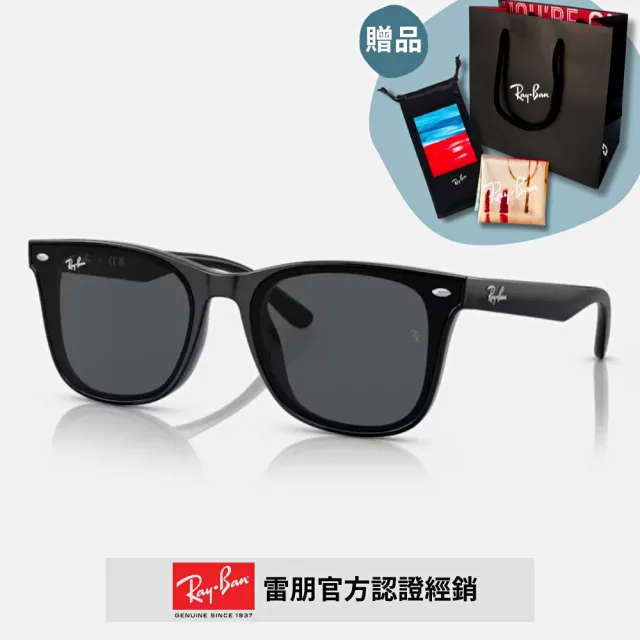 【RayBan 雷朋】膠框太陽眼鏡(RB4391D 65mm 多色任選)