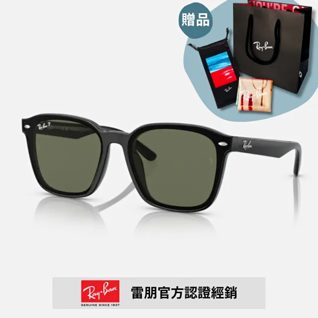 【RayBan 雷朋】膠框偏光太陽眼鏡(RB4392D-601/9A、RB4392D-601/81 66mm 偏光鏡片)