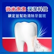 【SENSODYNE 舒酸定】進階護理 NEW專業抗敏護齦牙膏100gX3入(原味/亮白配方/沁涼薄荷)