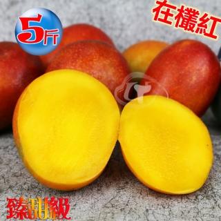 【風之果】枋山43年老欉臻甜級愛文芒果禮盒5臺斤(12顆)(中秋禮盒)
