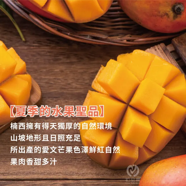 【初品果】台南愛文芒果10斤12-16顆x2箱(山坡地種植_在欉紅)