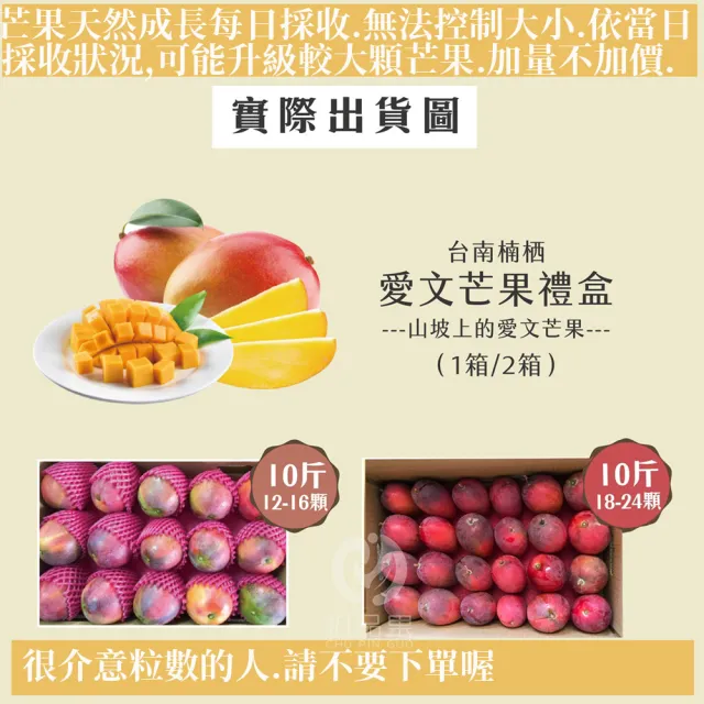 【初品果】台南愛文芒果10斤12-16顆x2箱(山坡地種植_在欉紅)