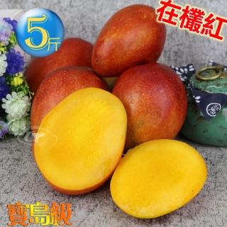 【風之果】枋山寶島級香甜43年老欉愛文芒果禮盒5臺斤(9顆)(中秋禮盒)