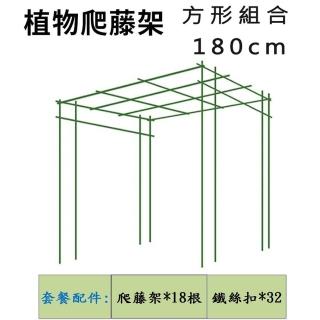 【POKO】方形組合 爬藤架 180公分高(管徑20mm 棚架 藤架 植物藤架 包塑鋼管 藤蔓架 綠竹鋼管)