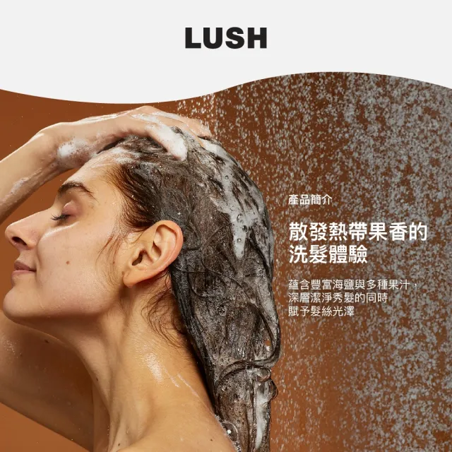 【LUSH 嵐舒】鮮果舒爽洗髮露 100g(洗髮精/深層潔淨/光澤/蓬鬆)