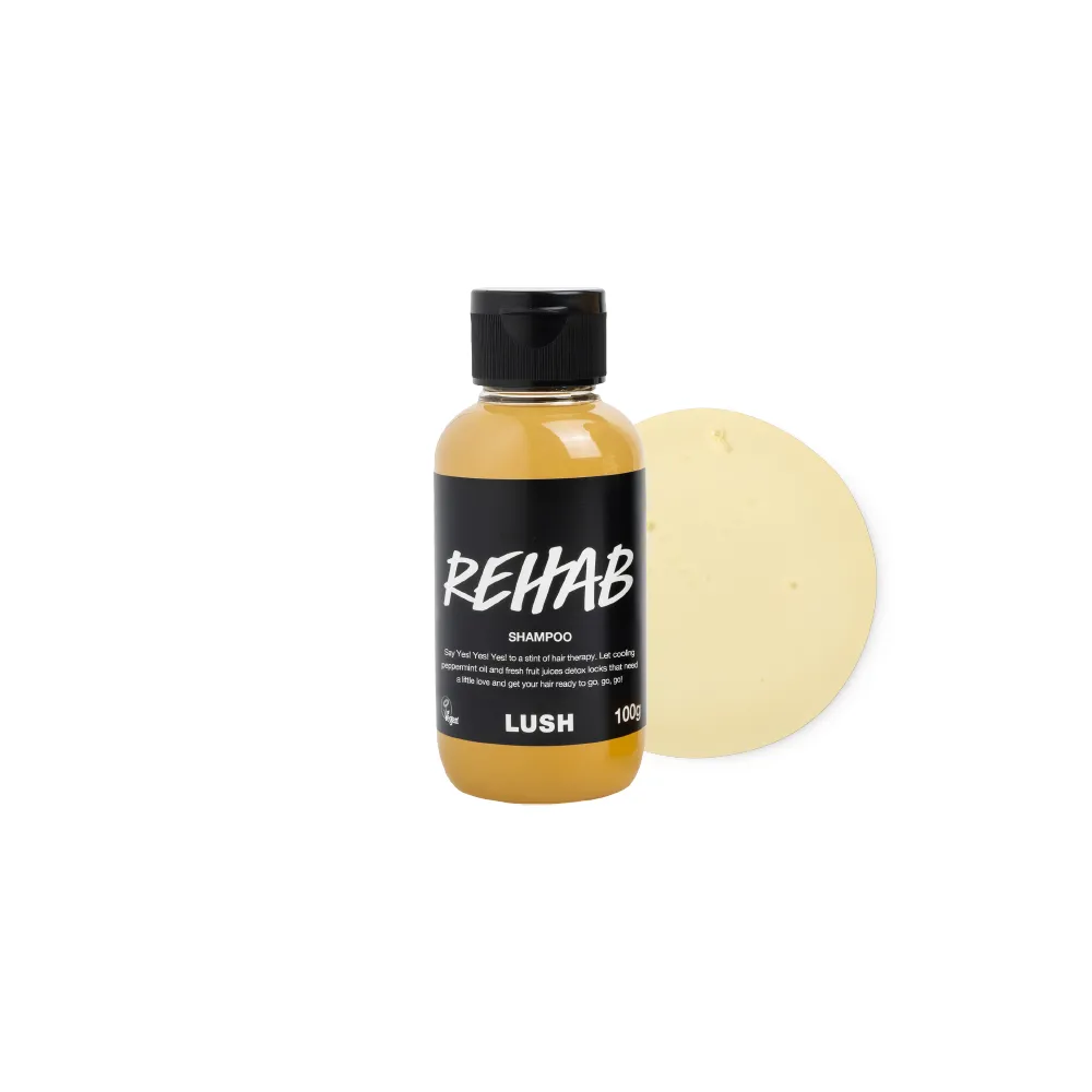 【LUSH 嵐舒】水果特調洗髮露 100g(洗髮精/修護/亮澤/調理頭皮)