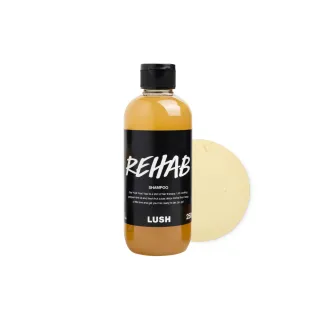 【LUSH 嵐舒】水果特調洗髮露 250g(洗髮精/修護/亮澤/調理頭皮)