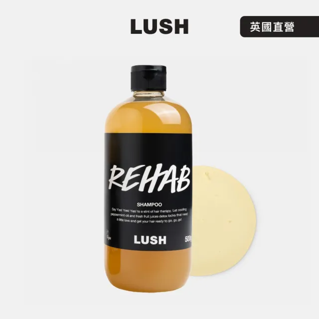 【LUSH 嵐舒】水果特調洗髮露 500g(洗髮精/修護/亮澤/調理頭皮/溫和清潔)