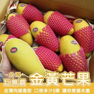 【WANG 蔬果】超大巨無霸XXL金煌芒果5-9入x1箱(10斤/箱 原裝箱)