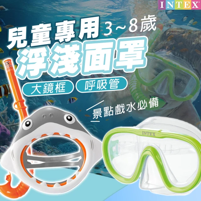 SWIMFLOW 雙管全乾式浮潛面罩(浮潛面罩 全罩式 浮潛