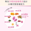 【Lovita 愛維他】孕婦綜合維他命素食錠 6入組(共360錠)