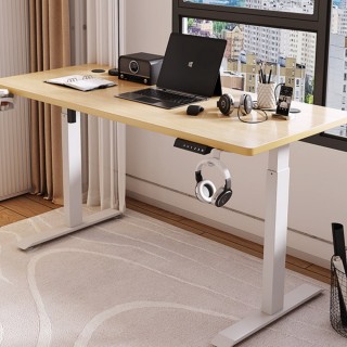 【MGSHOP】電動升降桌 電動桌 電腦桌 書桌(120CM 辦公桌 Y102)