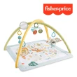 【Fisher price 費雪】基礎感官訓練健身器(健力架/健身架/遊戲地墊)