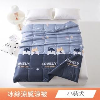 【日禾家居】冰絲涼感涼被-小柴犬(150X200cm 多款挑)