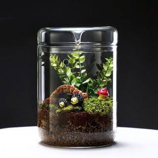 【沐森 Green Life】15X23玻璃露集杯 苔蘚生態瓶(V15 不含植物)
