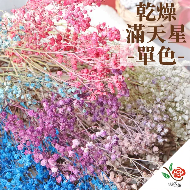 【極度花燥】乾燥滿天星 噴染(花材)