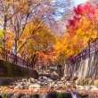 【喜鴻假期】【無購物．易起趣賞楓５日】內藏山賞楓、紅葉馬耳山、全州韓屋村、汗蒸幕體驗