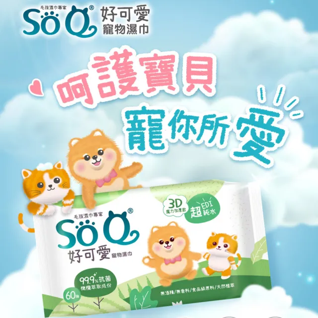 【南六】SOQ好可愛寵物濕巾-抗菌60抽/包(寵物全身/無酒精/無香料/食品級原料/天然植萃)