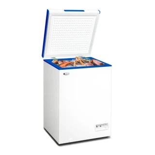 【TAIGA 大河】102L低頻省電家用型上掀臥式冷凍櫃(CB1150)