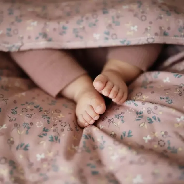 【波蘭Snap The Moment】雙面寶寶寫真毯 成長拍照記錄用(四季毯/嬰兒毯/寶寶毯/冷氣毯/安撫毯/小被被/蓋被)