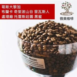 【微美咖啡】哥斯大黎加 布蘭卡 奇裡波山谷 裡瓦斯人處理廠 託雷斯莊園 黑蜜 中焙咖啡豆 新鮮烘焙(半磅/包)