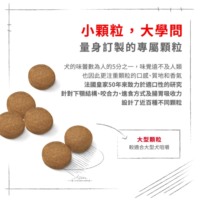 【ROYAL 法國皇家】大型成犬專用飼料 MXA 15KG(狗乾糧 狗飼料)