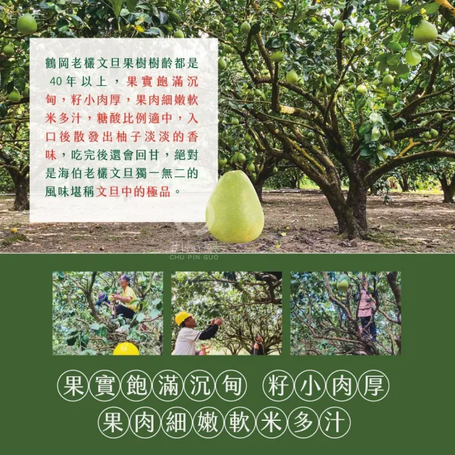 【初品果】花蓮鶴岡海伯40年老欉文旦10斤10-14顆x2箱(小果_外銷等級_中秋禮盒_企業送禮)