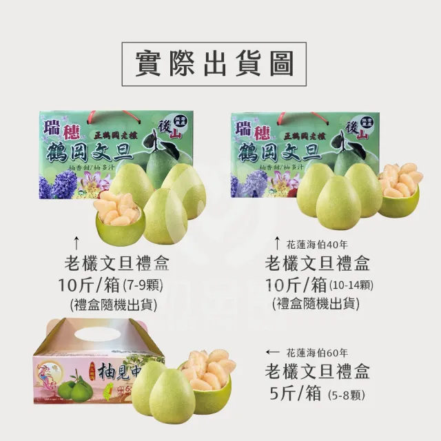 【初品果】花蓮鶴岡海伯40年老欉文旦10斤10-14顆x2箱(小果_外銷等級_中秋禮盒_企業送禮)