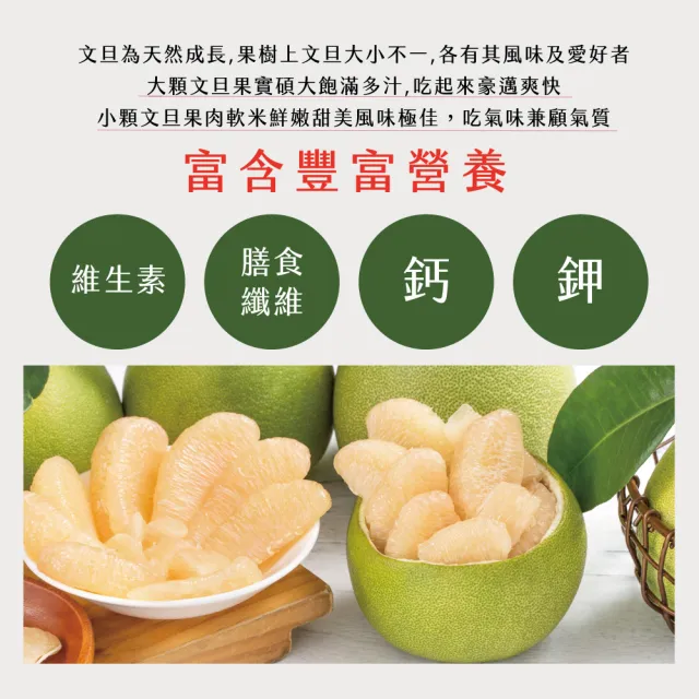 【初品果】花蓮鶴岡海伯40年老欉文旦禮盒10斤7-9顆x1箱(大果_中秋送禮_好友揪團_企業送禮)