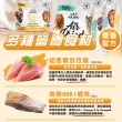 【ABSOLUTE HOLISTIC 超越巔峰】貓用鮮肉主食肉片500g(貓飼料、貓主食、無穀鮮食肉片)