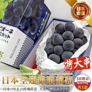 【WANG 蔬果】日本巨峰貓眼葡萄特大串1房x1盒(900g/串 禮盒組)(中秋禮盒)