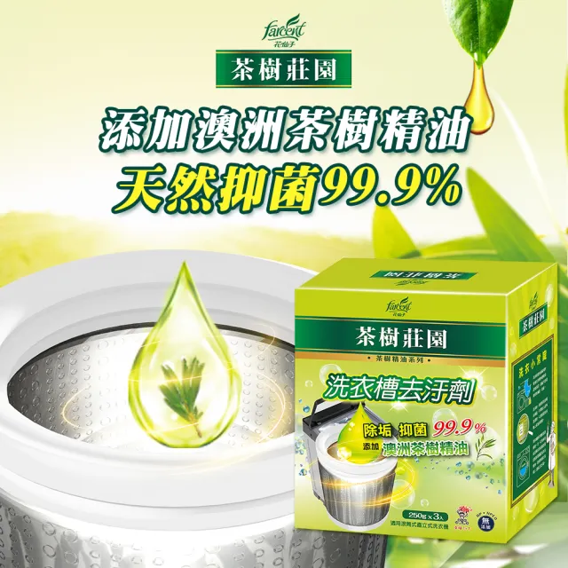 【茶樹莊園】洗衣槽去汙劑/清潔劑/清洗劑 18入(250g*3包/盒-共6盒)