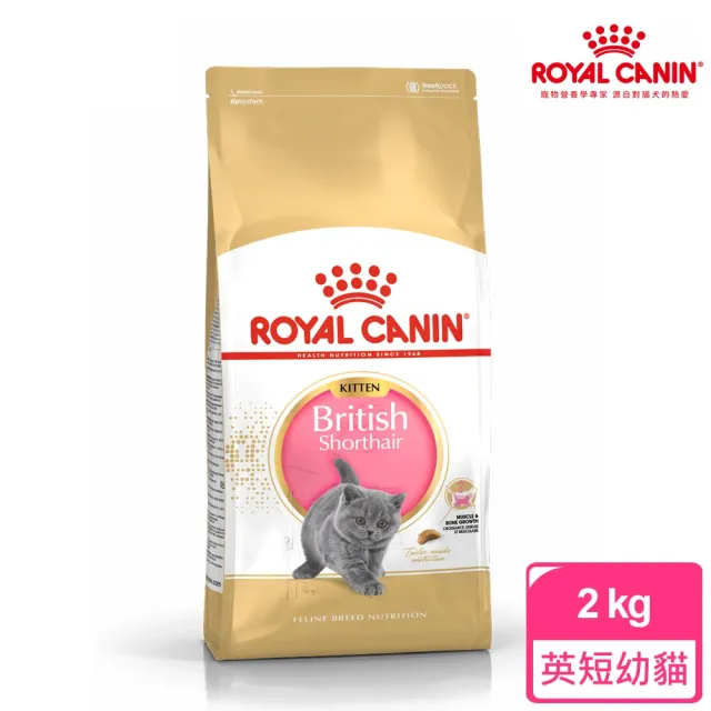 【ROYAL 法國皇家】英國短毛幼貓專用飼料 BSK38 2KG(貓乾糧 貓飼料 免疫力 腸胃)