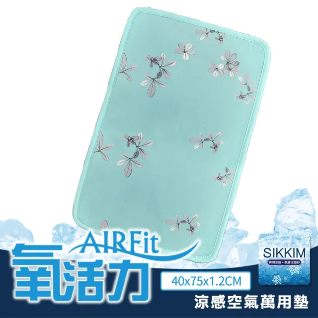 【日本旭川】AIRFit氧活力涼感支撐透氣萬用墊(吸濕地墊防滑墊腳踏墊)