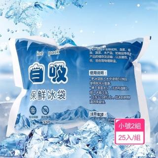 【Dagebeno荷生活】可拋棄式自吸水凝膠保冰袋 野餐效遊保冷保冰冰袋 保鮮冷凍包(小號2組)