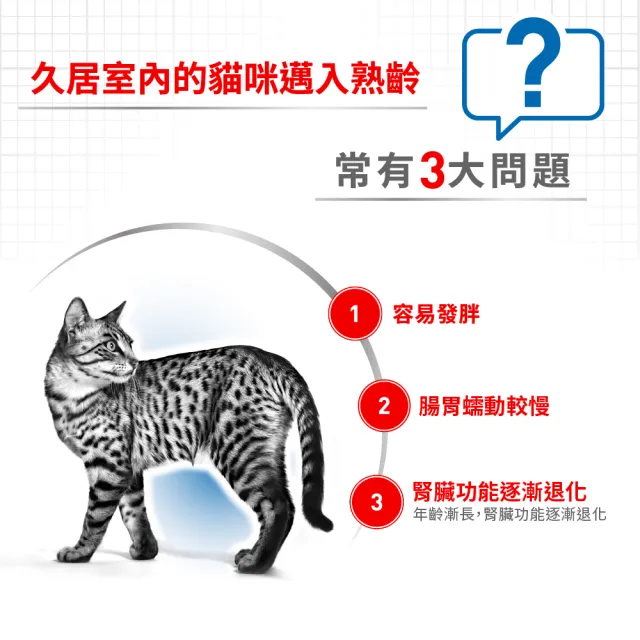 【ROYAL 法國皇家】室內熟齡貓專用飼料 IN+7 3.5KG(貓乾糧 貓飼料 降低便臭 化毛 腎臟健康)