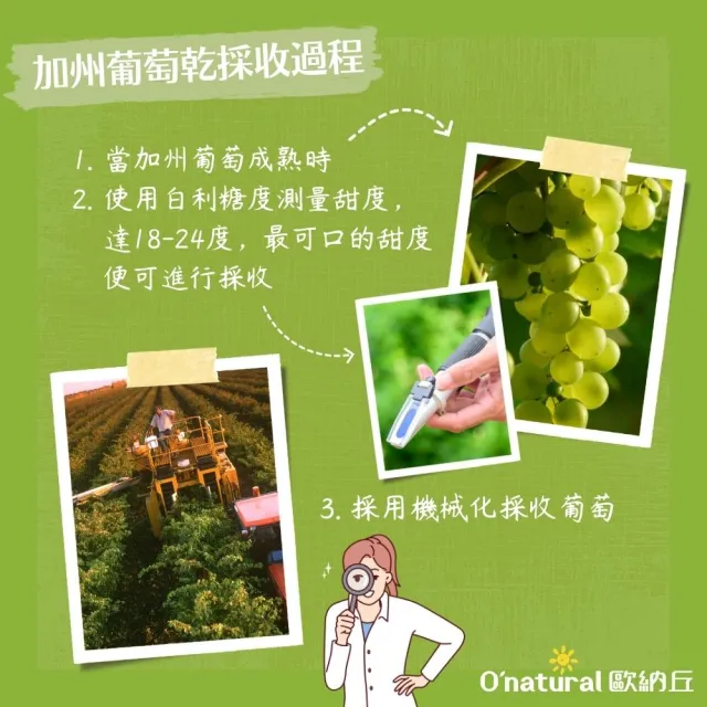 【O’natural 歐納丘】美國加州葡萄乾360g/罐