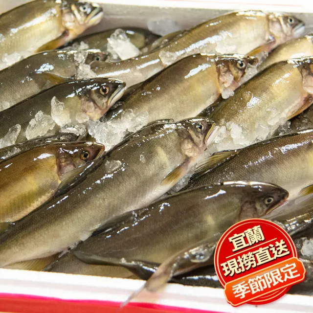 【鮮綠生活】宜蘭現撈直送季節限定香魚 共1件(3公斤/件; 21-23尾/件)