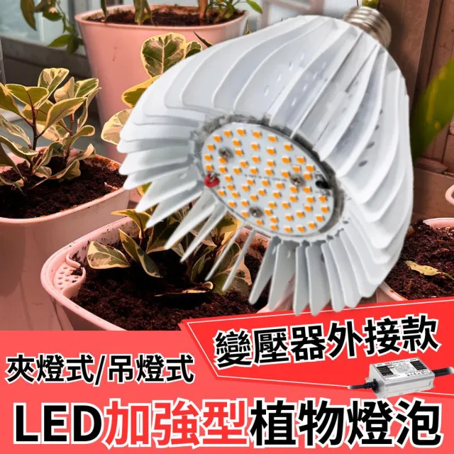 【JIUNPEY 君沛】50W 加強型光譜E27植物燈泡 變壓器外接款(植物生長燈)