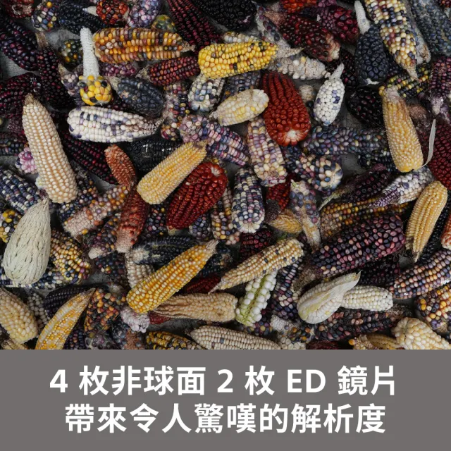 【SONY 索尼】FE 24-50mm F2.8 G 大光圈標準變焦鏡 SEL2450G(公司貨 保固 24個月)