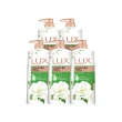 【LUX 麗仕】精油香氛沐浴乳900/1000mlx5入(多款任選)