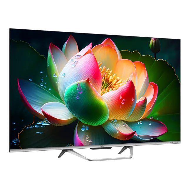 【Haier 海爾】65型 4K QLED 120Hz DLG GoogleTV 智慧聯網顯示器(H65S800UX2)