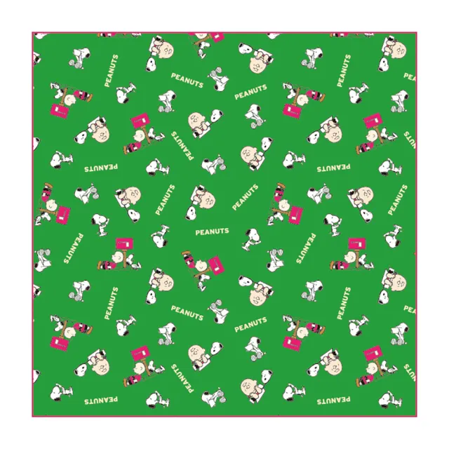 【大西賢製販】SNOOPY 史努比 棉質午餐包巾 便當包巾 信箱(餐具雜貨)