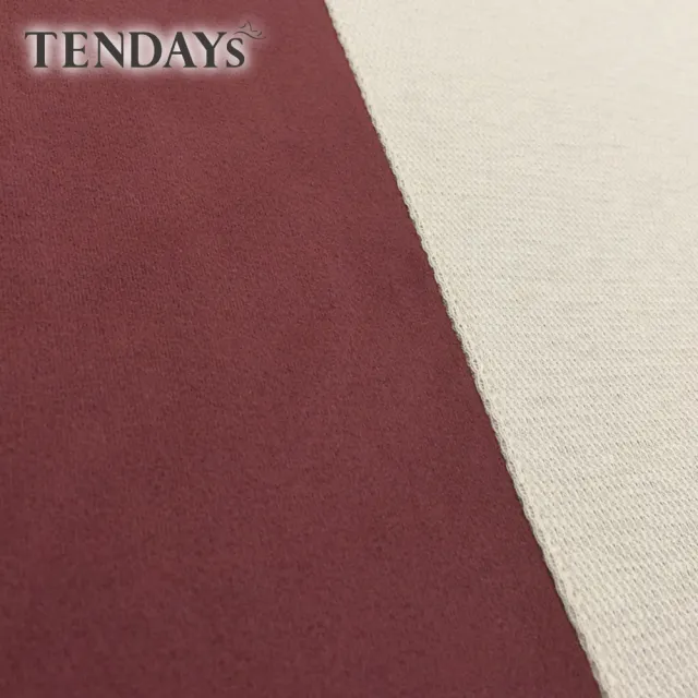 【TENDAYS】玩色柔眠記憶枕(焦糖莓 8/10cm任選)