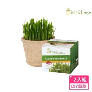 日本DIY新鮮燕麥貓草種植包*兩入組
